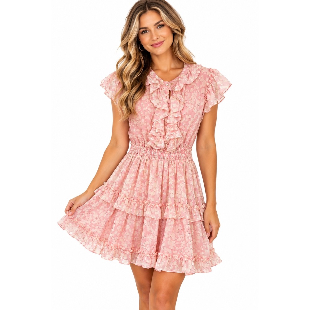 BuddyLove Pink Ruffle Mini Dress Swiss Dot Smocked Waist Romantic Coquette